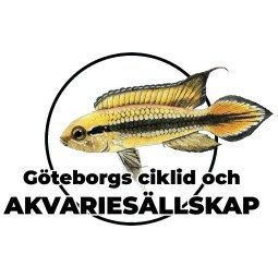 Logotyp för Göteborgs ciklid och akvariesällskap