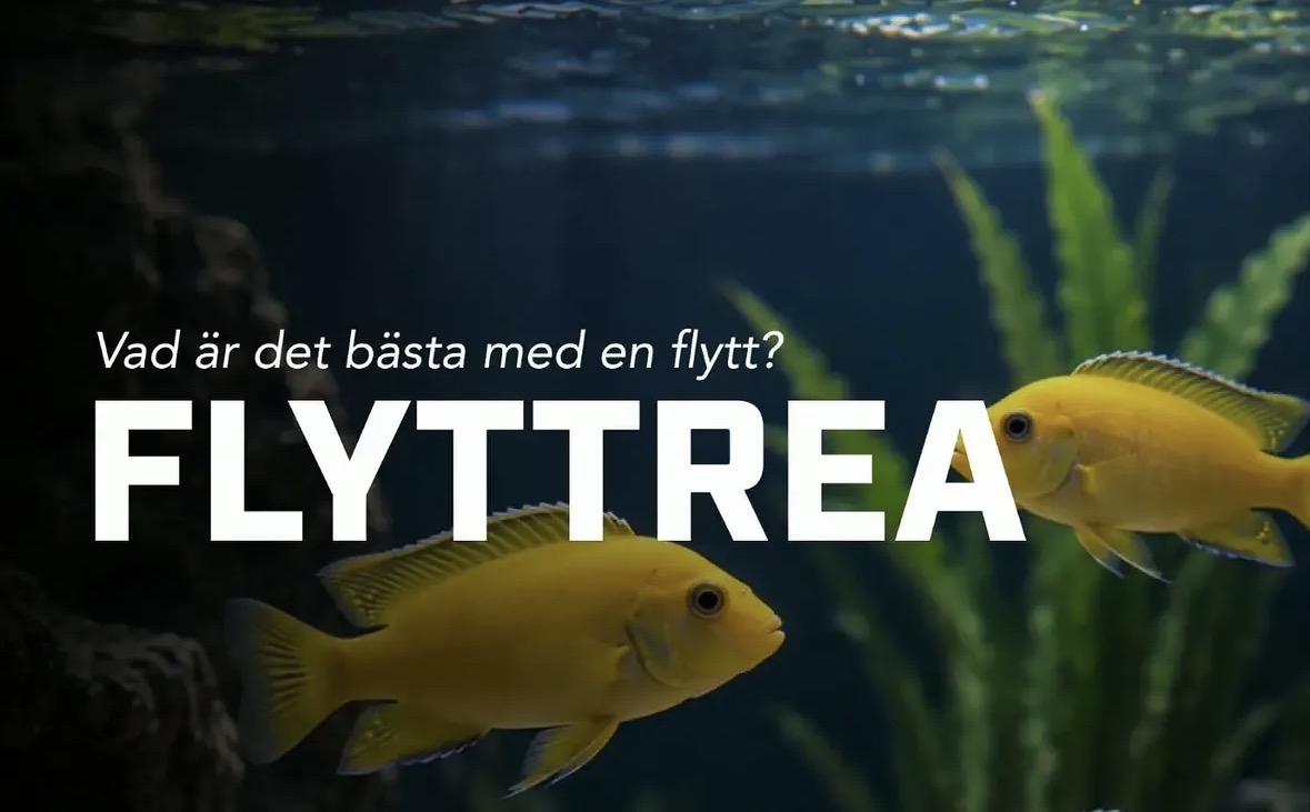 Flyttrea på ciklider