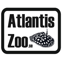 Logotyp för Atlantis ZOO
