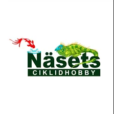 Logotyp för Näsets Ciklidhobby 